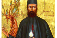 Calendar ortodox, 5 mai. Sfântul Efrem Cel Nou și minunile sale