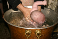  Răsturnare de situație în cazul bebelușului mort la botez, la Suceava