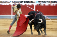 Luptele cu tauri au fost reluate la Madrid. Banii din încasări vor ajunge la toreadorii rămași fără slujbă din cauza pandemiei