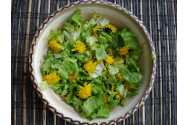 Salata de păpădie reglează glicemia