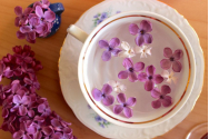 Beneficiile ceaiului de liliac