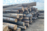 TVA pentru lemnele de foc ar putea fi redus de la 19% la 9%
