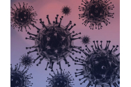 În România au fost confirmate 26 de cazuri de COVID-19 cu varianta Delta a coronavirusului
