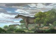 O nouă specie de rinocer gigantic preistoric, descoperită în China