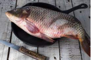 „Pește toxic“, pescuit de conaționali din Spania, Italia sau Franța