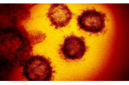 Coronavirus Romania. Prima zi, de la inceputul pandemiei si pana in prezent, in care Romania inregistreaza un singur deces 
