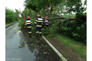 Furtună la Botoșani - copaci doborâți, stâlpi de tensiune puși la pământ