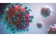 Un studiu australian formulează o nouă ipoteză despre originea virusului SARS-CoV-2 pe baza afinităţii elective a acestuia