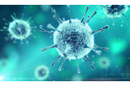 Anticorpii dobândiţi în urma infectării cu noul coronavirus durează ”cel puţin” nouă luni