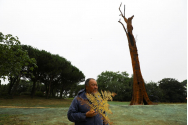  O statuie din fier a unui copac tropical, avertisment pentru consecințele defrișărilor