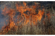 Incendiu de mari dimensiuni lângă Barcelona. Peste 1.000 de hectare de pădure au fost distruse