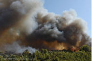 Patru sate din Grecia, evacuate în urma unor incendii