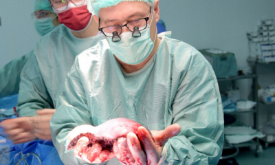  Transplant renal ratat, la Spitalul Parhon