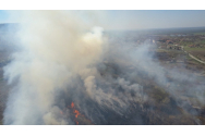 Incendii în Bulgaria: Au ars peste 20 de hectare de pădure și câteva case / Macedonia de Nord: Zece focare active