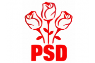 Sondaj Politico: PNL este în cădere liberă iar PSD are aproape cât toată coaliţia. Cum au evoluat USR și AUR 