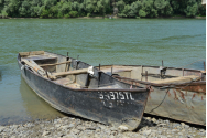 Pescarii de pe brațul Măcin al Dunării renunță la vechile bărci din tablă