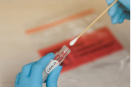 Testele RT-PCR COVID-19 se ieftinesc la Bârlad