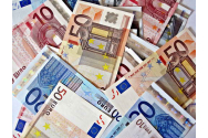 Euro atinge un nou maxim istoric în raport cu leul
