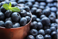 ”Insulina vegetală”: Fructele care reglează glicemia și protejează creierul de stres