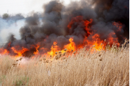 Aproximativ şase hectare de vegetaţie uscată au ars în patru incendii, în Botoșani