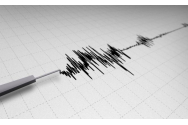 Cutremur  în zona Vrancea, sâmbătă dimineața