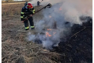 Arde Cotnariul! Incendiu pe 15 hectare de teren