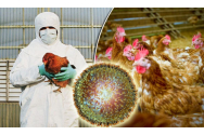 Alertă în China. A crescut cazurile de gripă de aviară la om