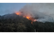 Pădurea din Oituz arde de patru zile. 20 de hectare sunt afectate