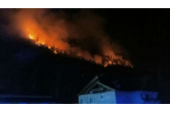 Pădurea de la Oituz arde de 5 cile. Sunt afectate 28 de hectare de teren