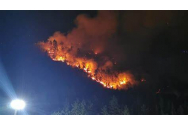 Circa 35 de hectare de pădure, afectate de incendiul de la Oituz