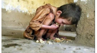 top-7-intamplari-uluitoare-despre-foamete-si-canibalism-foto_94652400-768x433