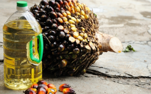 Uleiul de palmier poate fi cancerigen