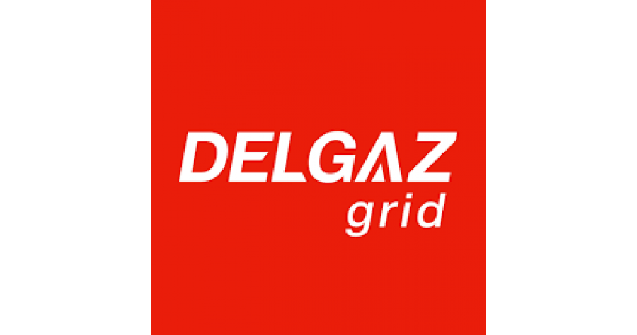 logo-delgaz-grid