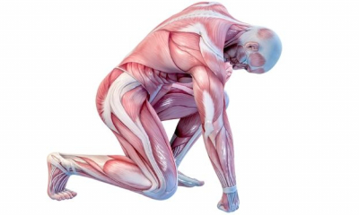 Cercetătorii au descoperit un nou mușchi în corpul omenesc