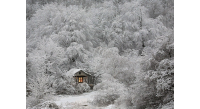 winter-houses-2__880