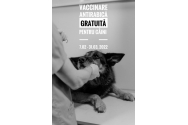 Vaccinare câinilor, din poartă în poartă, la Holboca