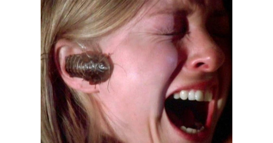 10-creepiest-yuckiest-ickiest-bug-horror-movies-1