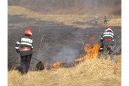20 hectare de teren au fost pârjolite într-un incendiu în Neamţ