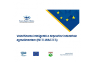 Valorificarea inteligentă a deșeurilor industriale agroalimentare (INTELWASTES)