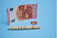Țara europeană care se îndreaptă spre un SALARIU MINIM de 12 euro pe oră