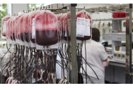 Numărul donatorilor de sânge, în creştere