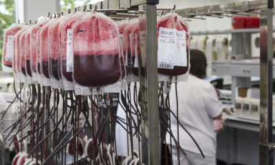 Numărul donatorilor de sânge, în creştere