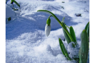 Cele mai friguroase primăveri din istoria României