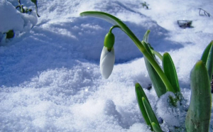 Cele mai friguroase primăveri din istoria României