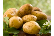 Ministrul Agriculturii: România produce mai mulţi cartofi decât consumă