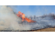 Peste 2.600 hectare de miriști au fost mistuite de flăcări, la Iași