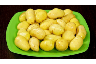 Prima recoltă de cartofi noi românești a ajuns în piețele din țară. Un kilogram de cartofi ajunge și la 25 de lei