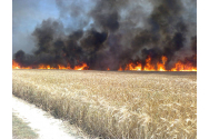 130 de hectare de vegetaţie uscată şi mărăciniş, distruse în urma unui incendiu în comuna Dragomireşti