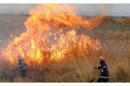 Incendiu de dimensiuni imense la Neamț
