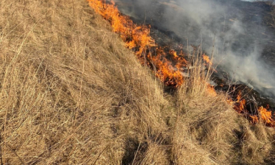 Suceava: 33 de incendii de vegetaţie, în ultimele 24 de ore